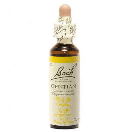Fleurs de Bach n°12 Gentian - Gentiane 20ml