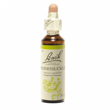 Fleurs de Bach n°16 Honeysuckle - Chèvrefeuille 20ml