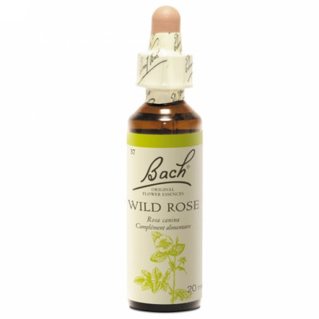 Fleurs de Bach Wild rose n°37 20 ml