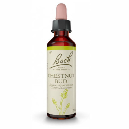 Fleurs de Bach Chestnut bud n°7 20 ml